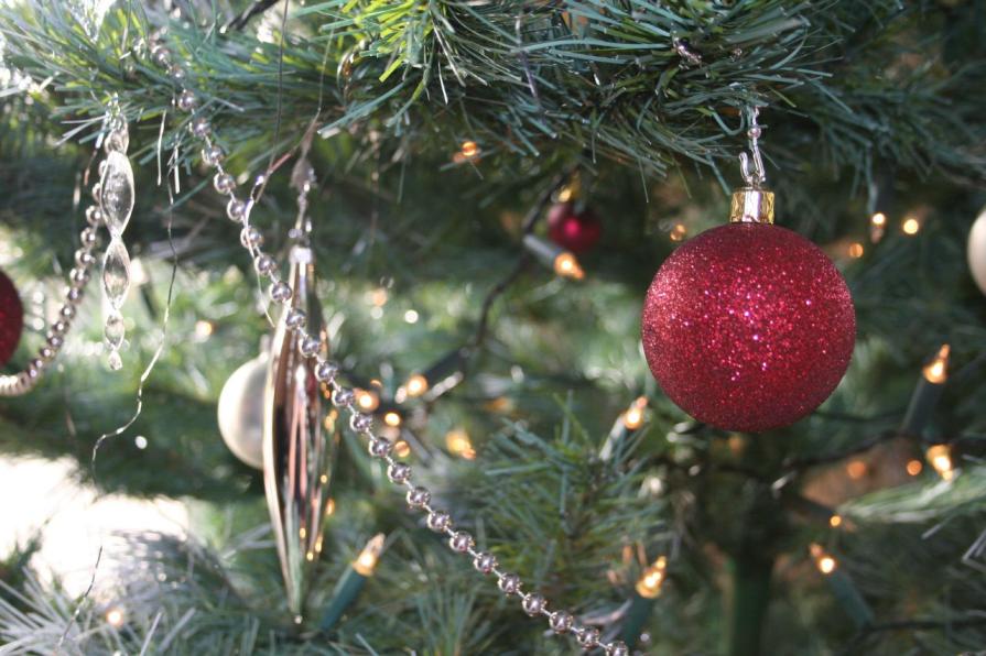 Colorado Christmas Tree Permits Bureau of Land Management